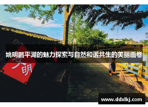 姚明鹏平湖的魅力探索与自然和谐共生的美丽画卷