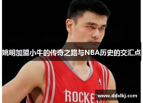 姚明加盟小牛的传奇之路与NBA历史的交汇点