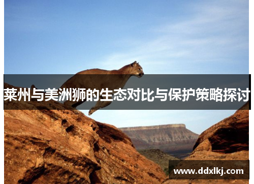 莱州与美洲狮的生态对比与保护策略探讨