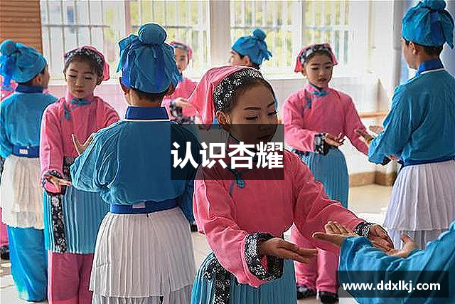 认识杏耀